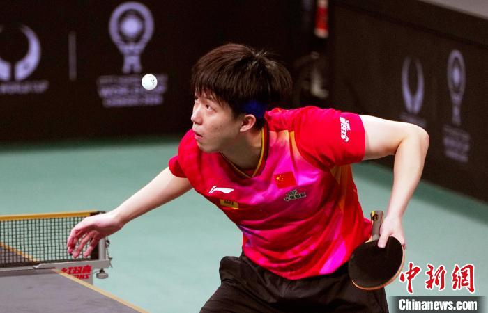 成都赛场8-0横扫澳大利亚，中国队在混合团体世