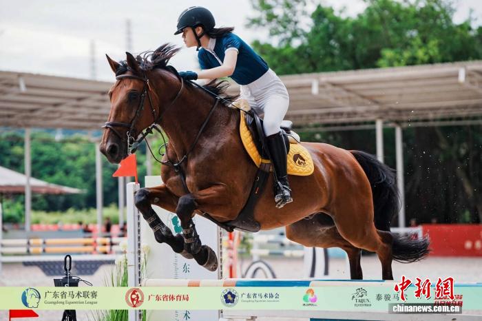 第八届广东省马术联赛总决赛将在广州举行,全